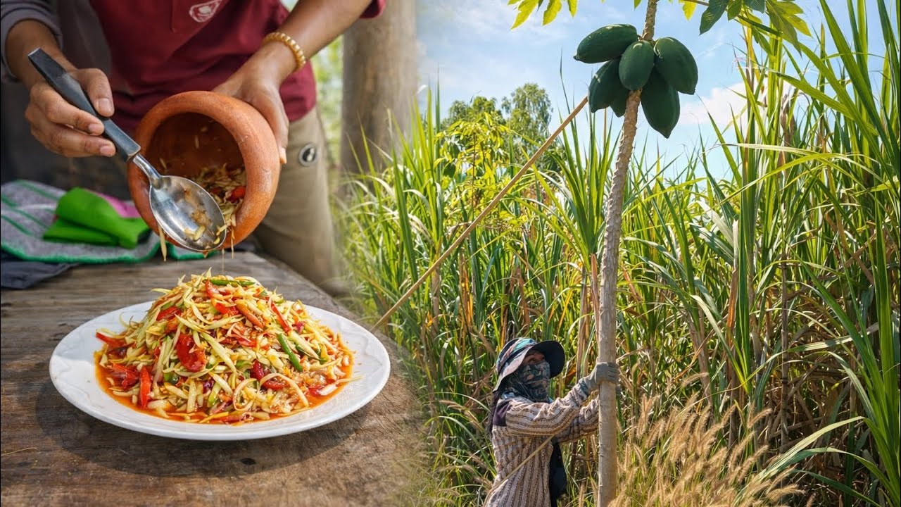 🔥🌶️ตำส้มแซ่บๆจ้า Som Tam (Thai Papaya Salad) | พัชญ์ พาชิว