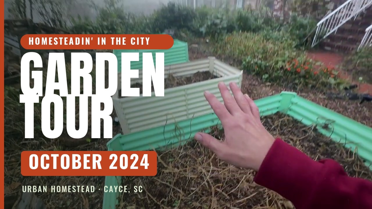 Off-Grid Backups After the Hurricane 🍂 October 2024 Garden Tour | Homesteadin' In The City