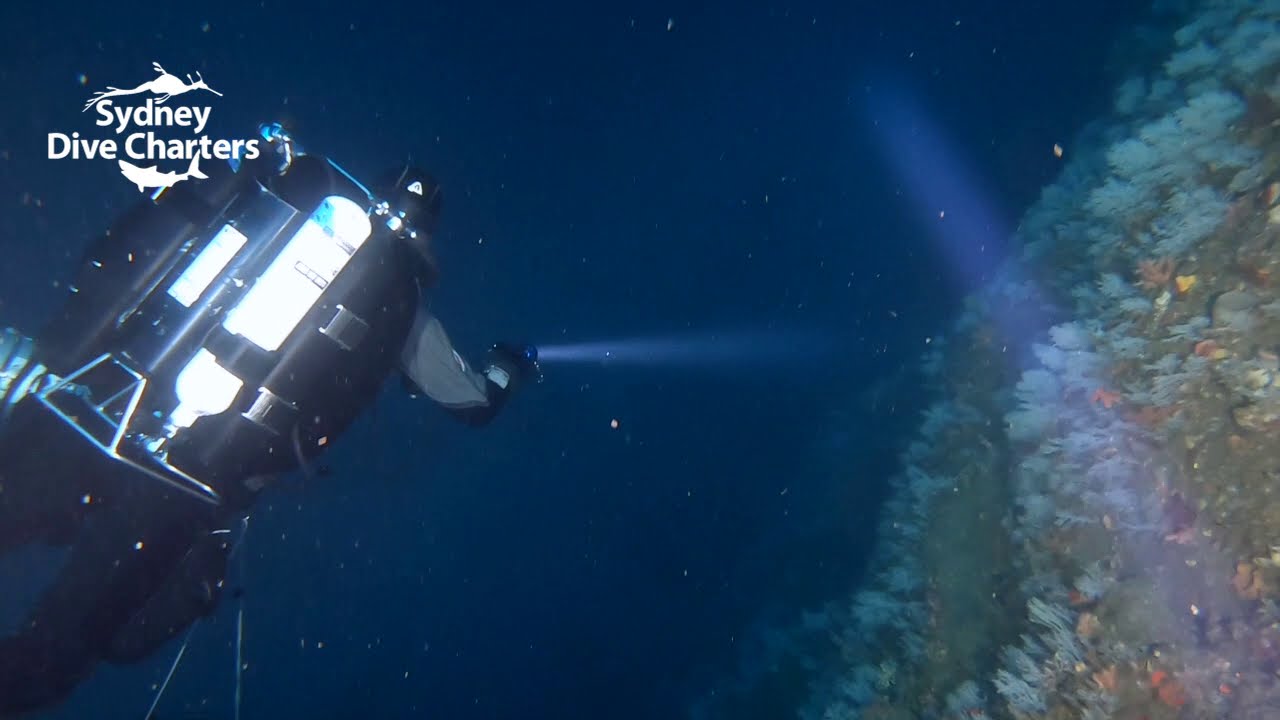 Technical diving Sydney scuba tech dive Peak Reef wall best dive site