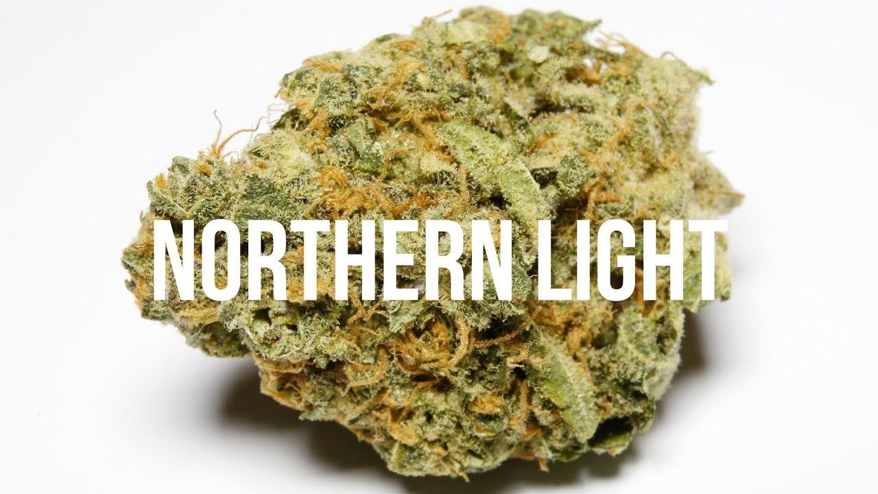 Nordern Lights Special review - International Highlife