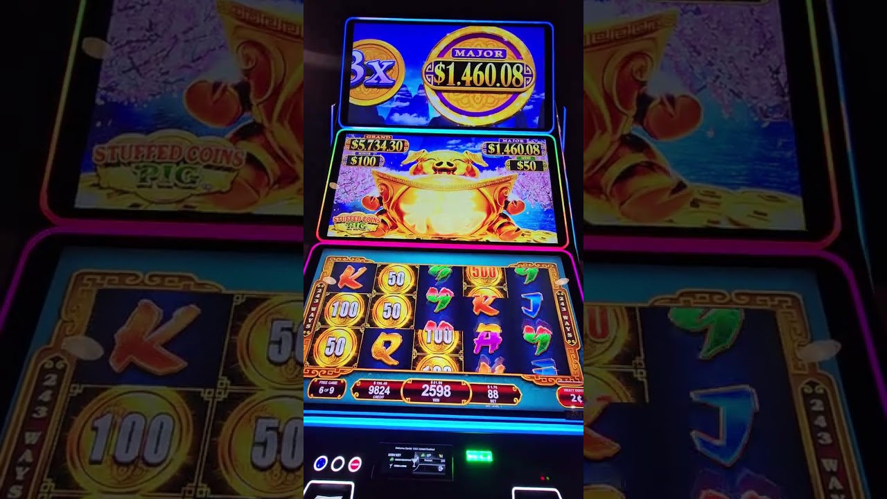 Stuffed Coins Pig Slot Machine