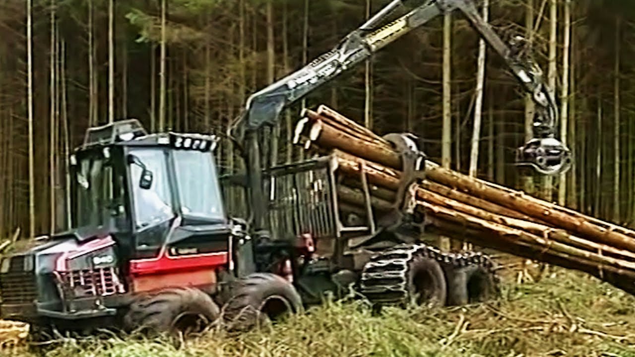 A Short History of Timber Harvesting in Ireland (Garvagh Forest)