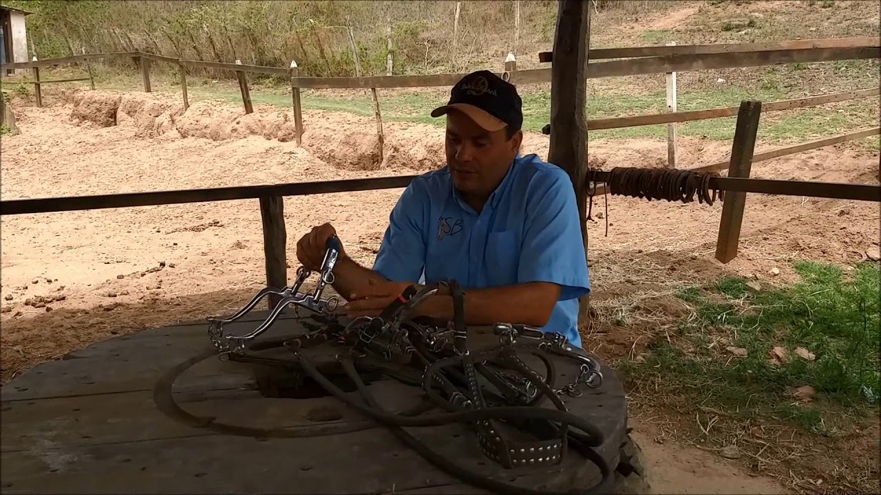 Uso do Breque (professora)