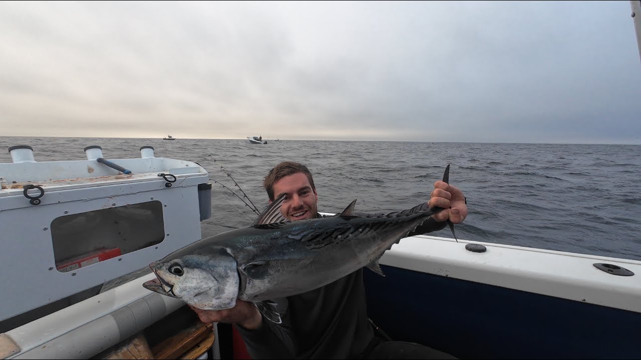 Broughton Island Fishing | MAC TUNA, KINGFISH!