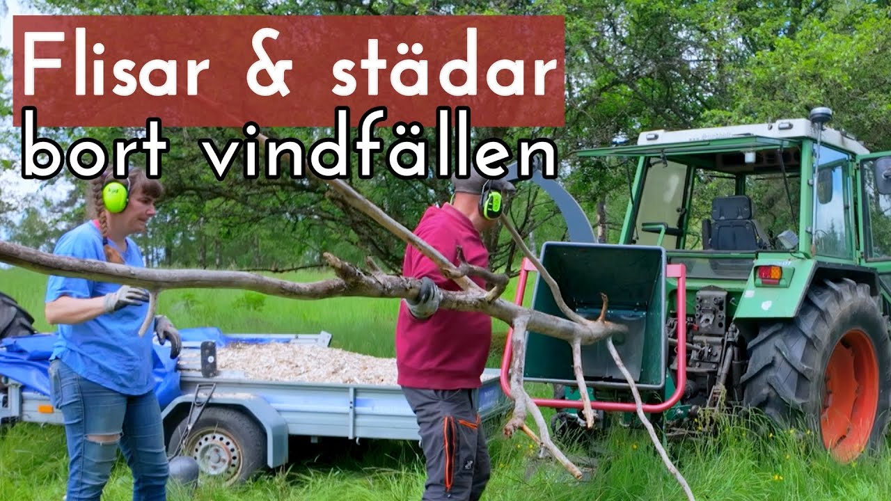 Flisar vindfällen  och städar upp naturbeteshagen