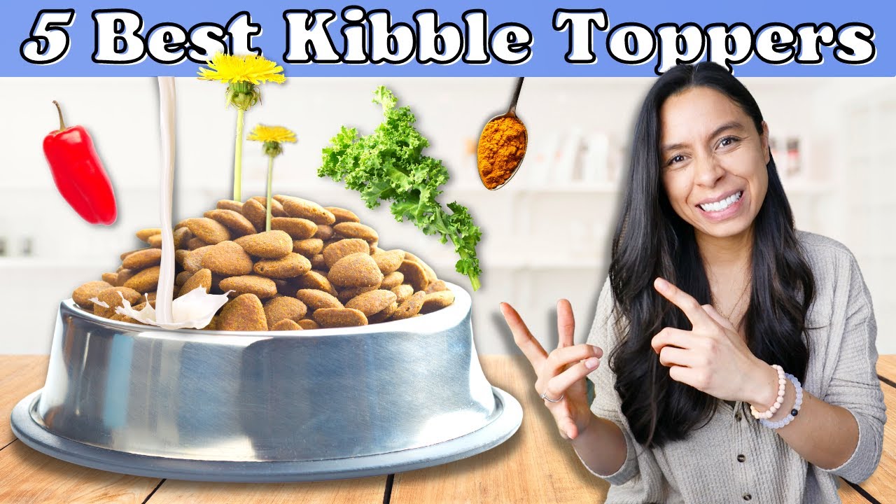 STOP Feeding *PLAIN* Kibble 🚫 Instead do this...
