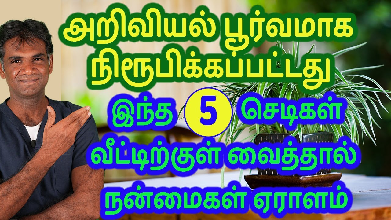 Research Based 5 Indoor Plants For A Healthy Life | Easy To Grow House Plants - Dr.P.Sivakumar-Tamil