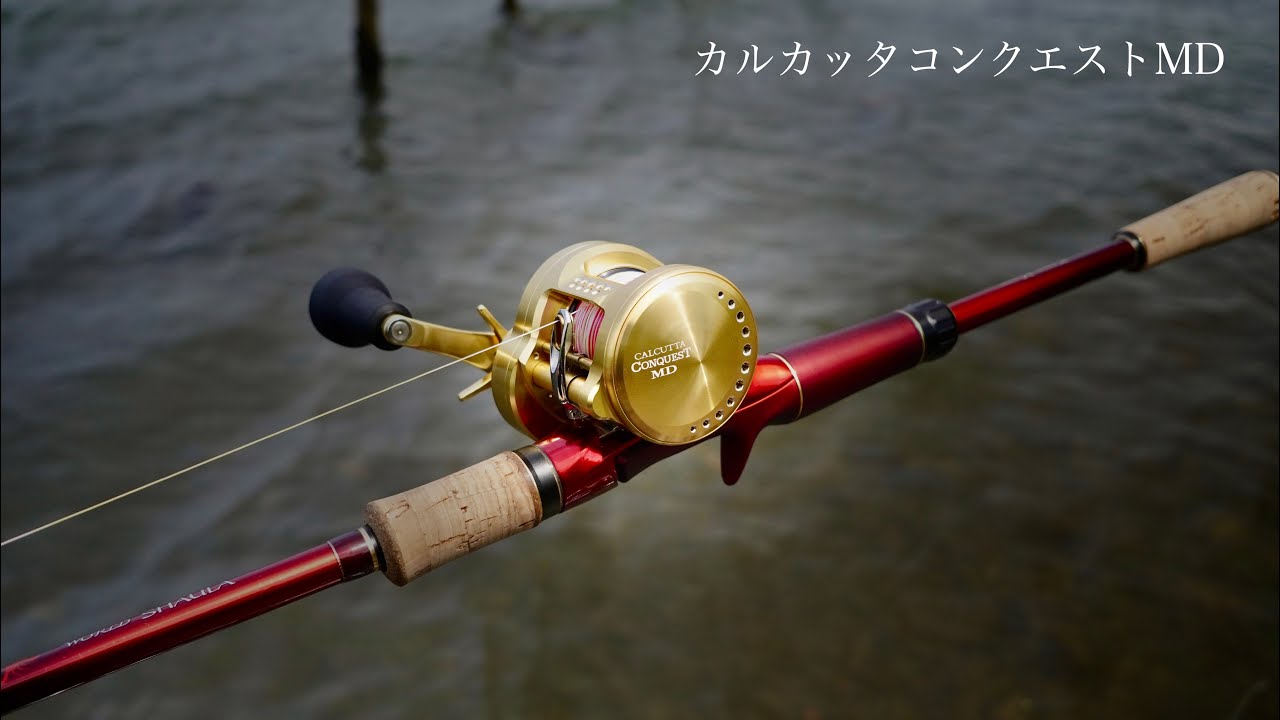 黄金の美しきモンスター　カルカッタコンクエストMD【試投インプレ】