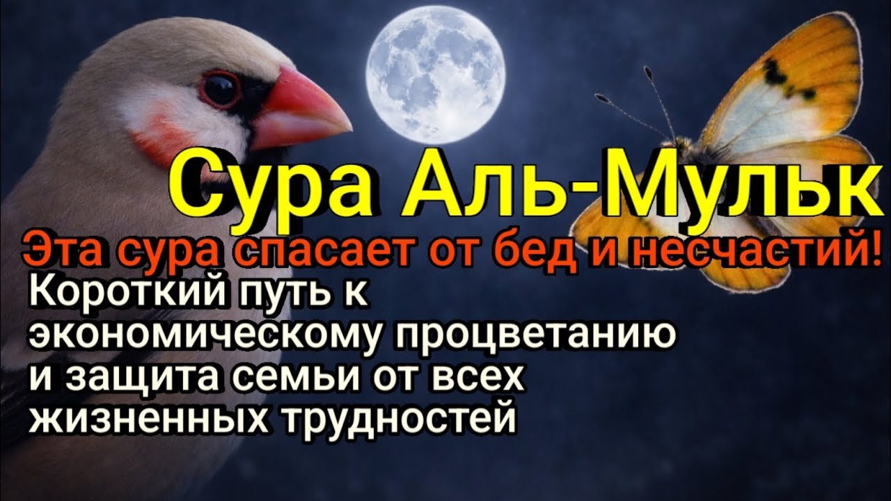 Король денег — разве этого ты хочешь? Слушай прямо сейчас! Богатство в твоих руках!