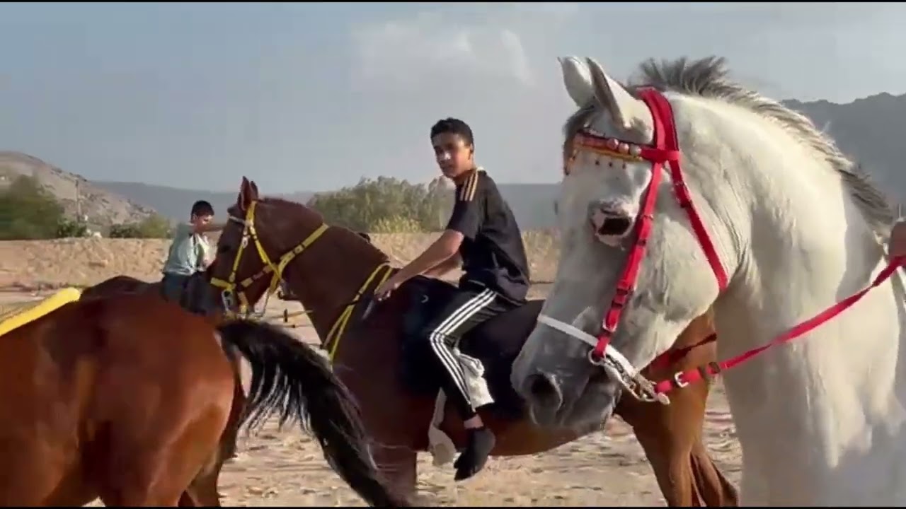 طلعة للوادي لاشبال الاكاديمية الحضن  