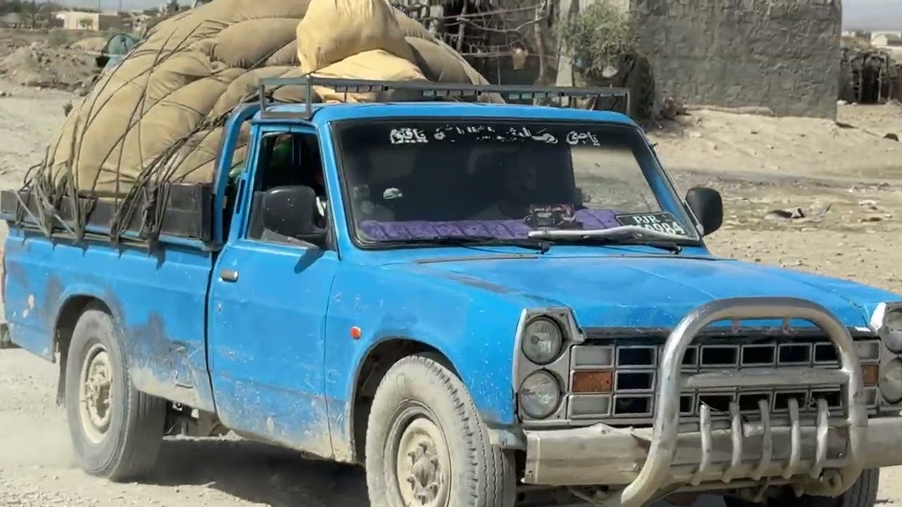 Zambaad
