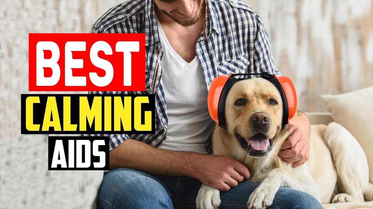 ✅Top 5 Best Calming Aids for Dogs To Help Soothe Any Anxiety of 2025