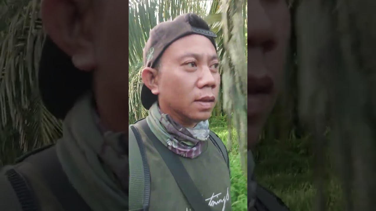 Berjalan kelahan usaha 2 transmigrasi