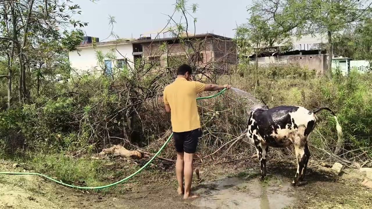 #desilife 