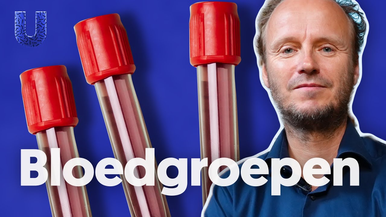 Waarom ga je dood als je het verkeerde bloed krijgt?
