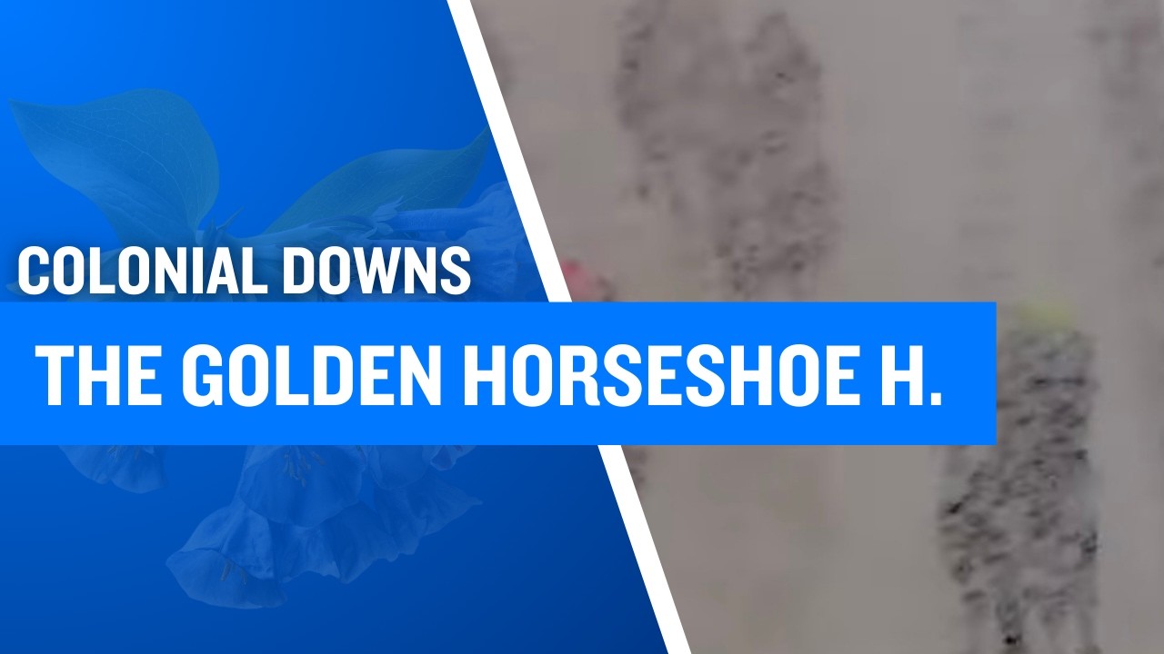 2026 $100,000 The Golden Horseshoe Handicap