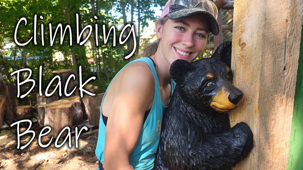 Little Climbing Black Bear - CHAINSAW CARVING