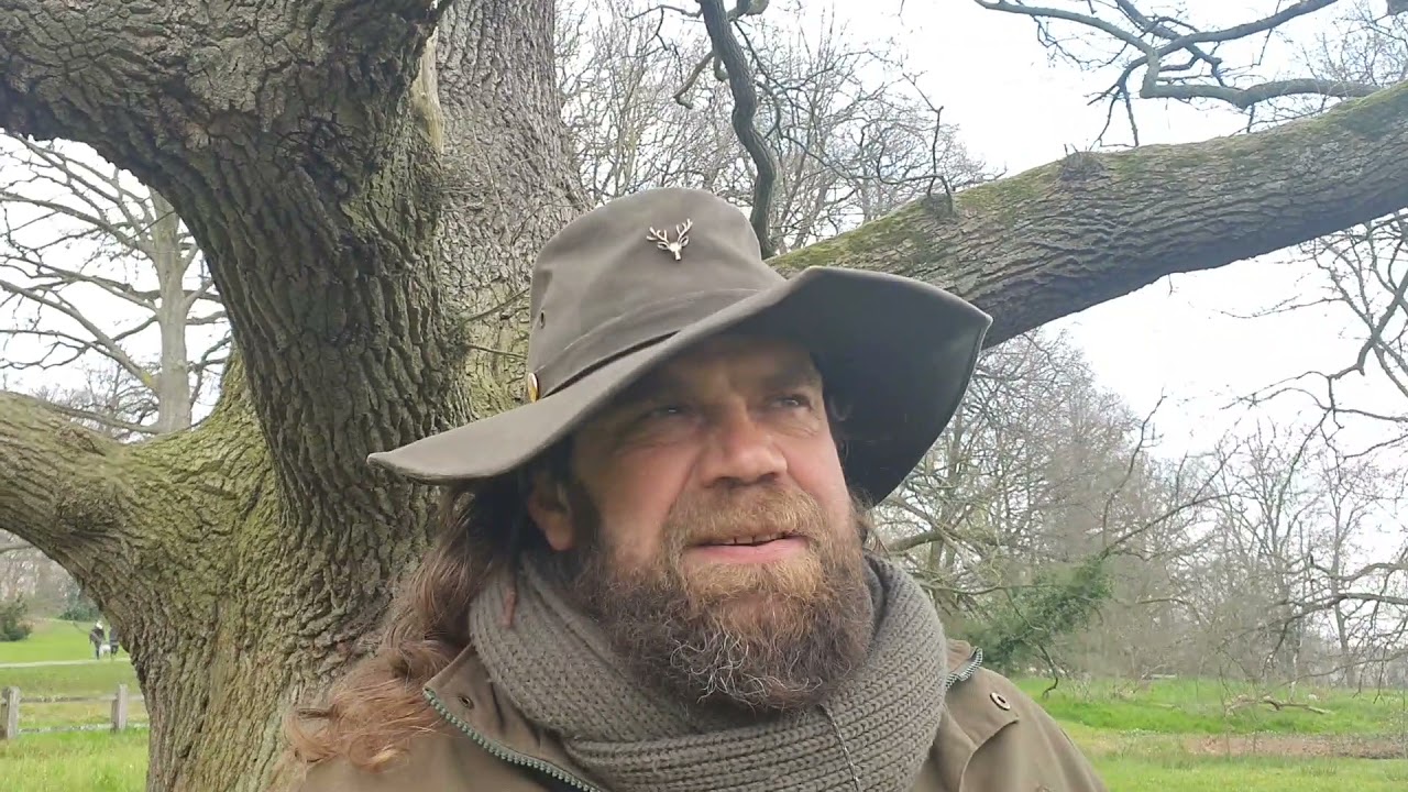 Boswacher Jeroen #Vlog 6: Superbomen