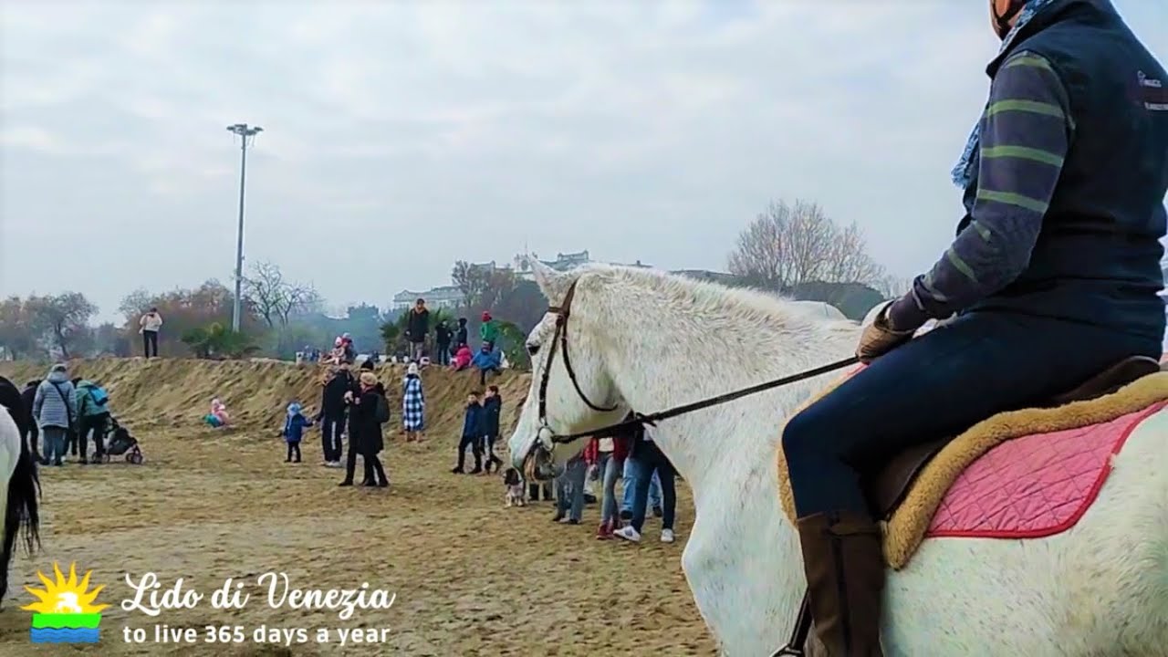 Arrivano gli Ibernisti e anche i cavalli ☀ Auguri dal Lido di Venezia con gli Ibernisti Veneziani