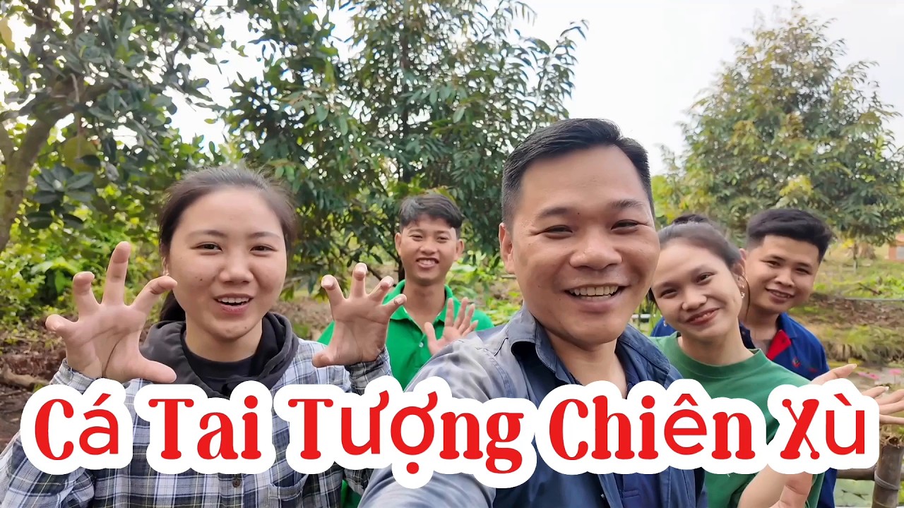 Đặc Sản Miền Tây ( Cá Tai Tượng Chiên Xù Cuốn Bánh Tráng ) về vườn nữa với tụi em nha cả nhà ơiii.
