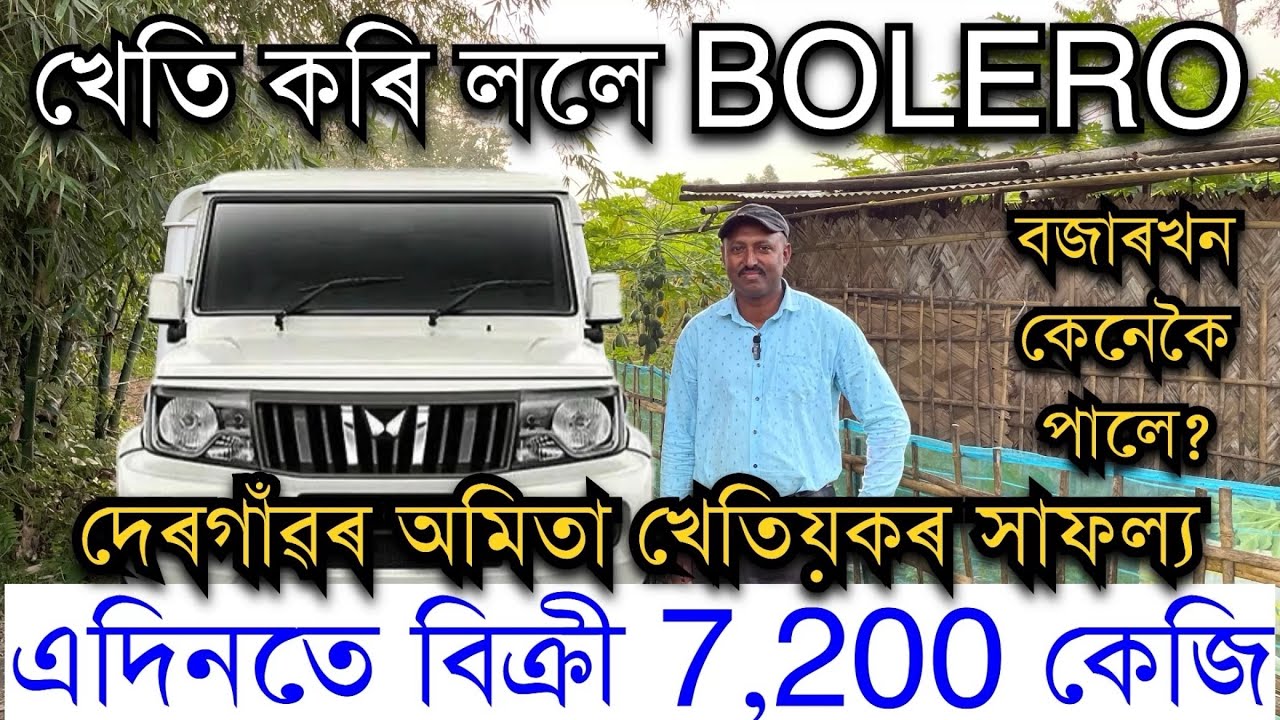 অমিতা খেতিয়কৰ সাফল্য।খেতি কৰি ললে BOLERO ।PAPAYA FARMING। AMITA KHETI। Papaya farming in Assam।
