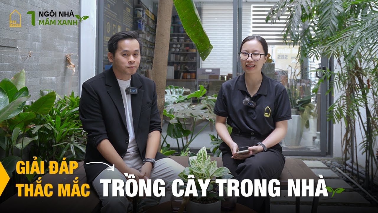 Cùng SBS Giải Đáp Thắc Mắc Chủ Đề: Cây Thân Gỗ Trồng Trong Nhà