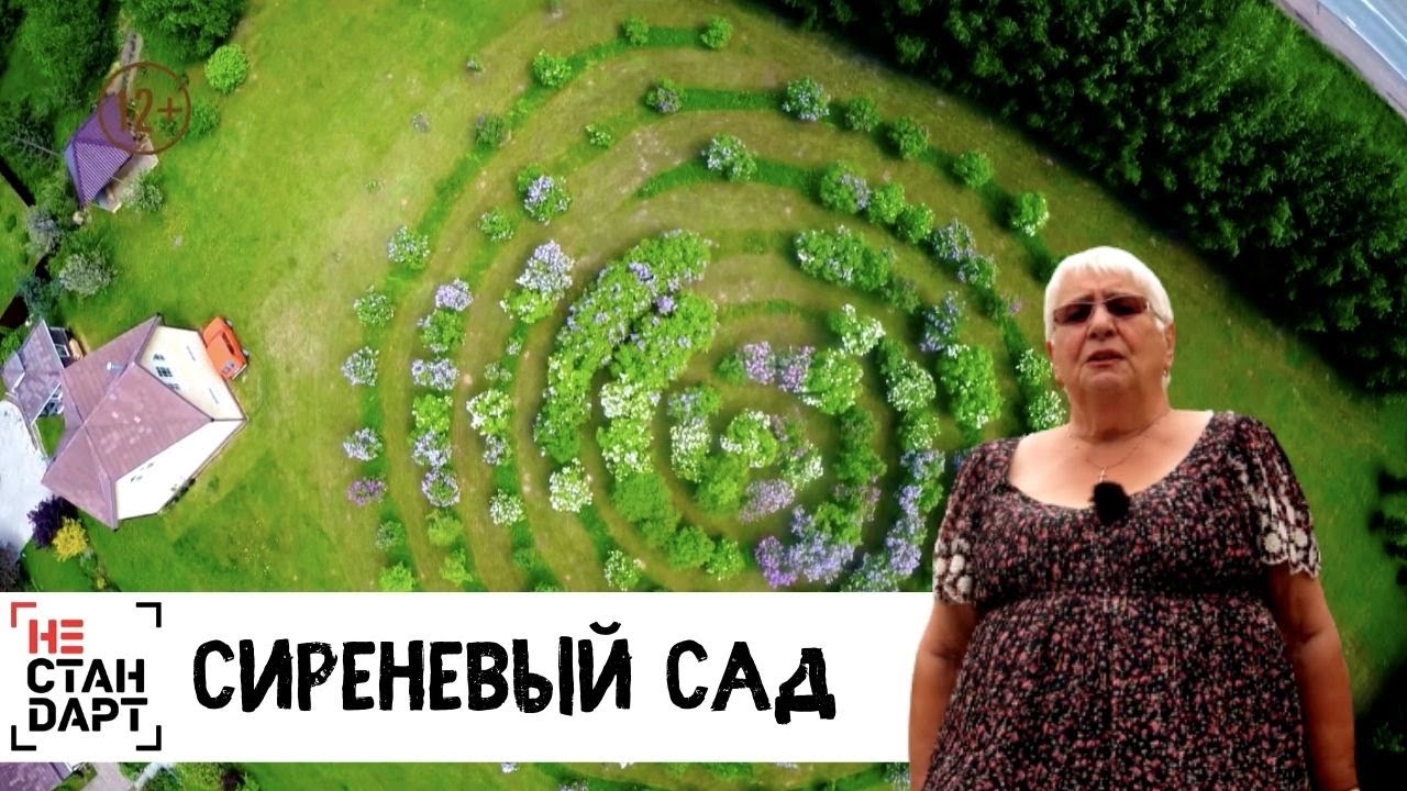 Cиреневый сад // Нестандарт / Серия 1