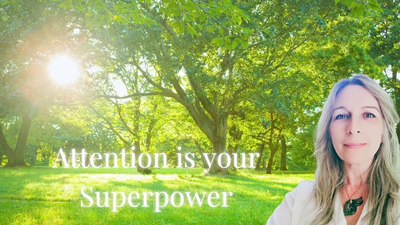 What You Give Attention to Grows