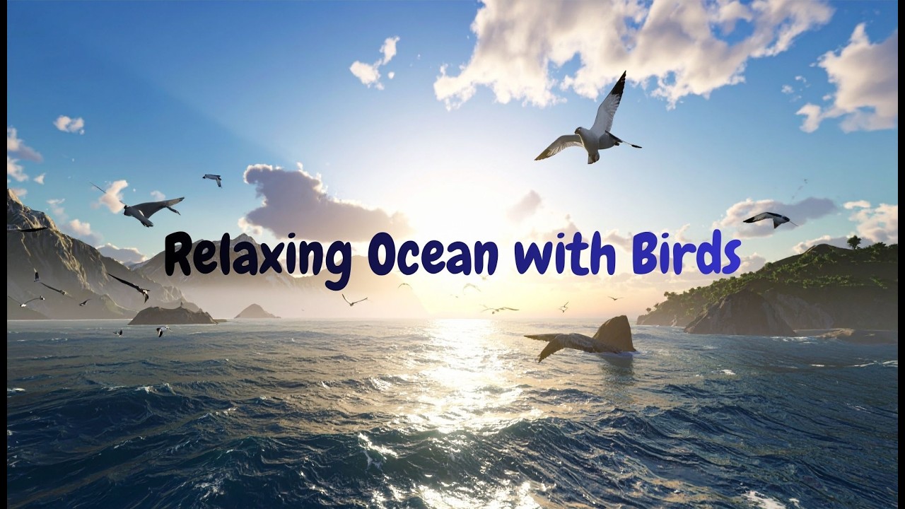 🕊️🌊 Ocean Waves & Seabirds / Olas del Océano con Aves Marinas