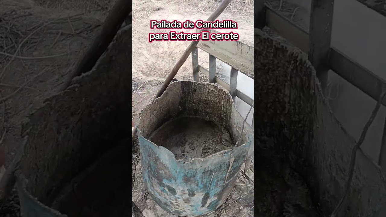 En La Paila de la Candelilla con el Amigo Onésimo Huerta en El Ejido Acámbaro en Castaños Coahuila 