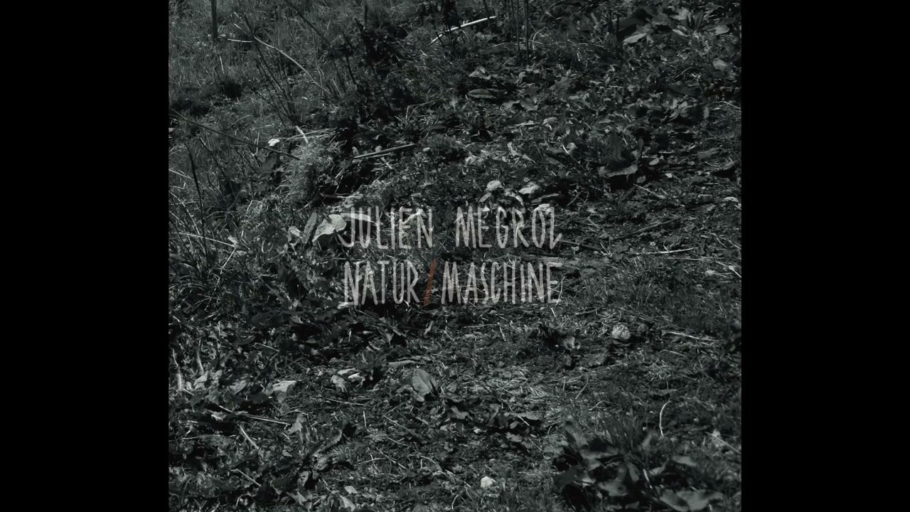 Julien Mégroz - 5 fades (by Fritz Hauser)