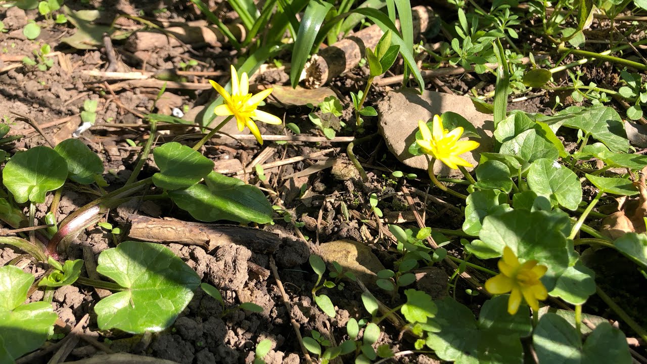 Spring is in the air!