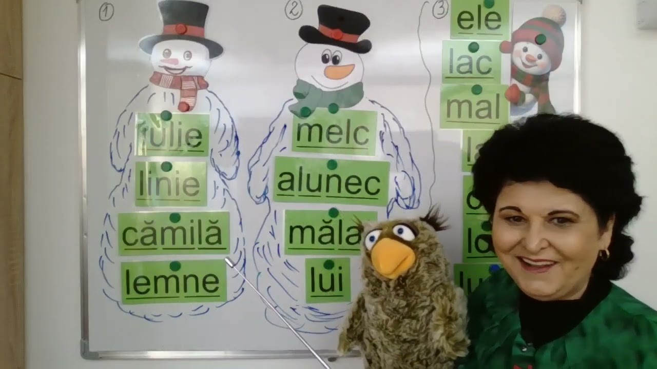 230 CLR Clasa pregătitoare și clasa I  -   Ce înseamnă un text