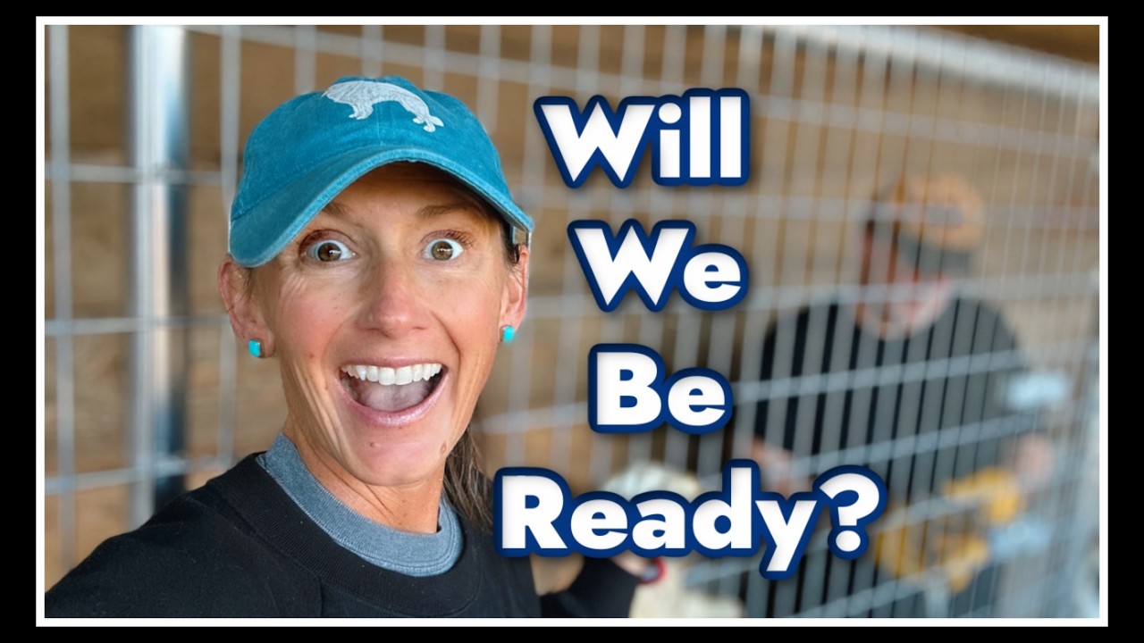 🤪 Will We Be Ready~Goat Kidding Season