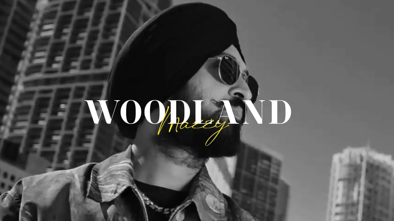Diljit Dosanjh x ikky type beat 