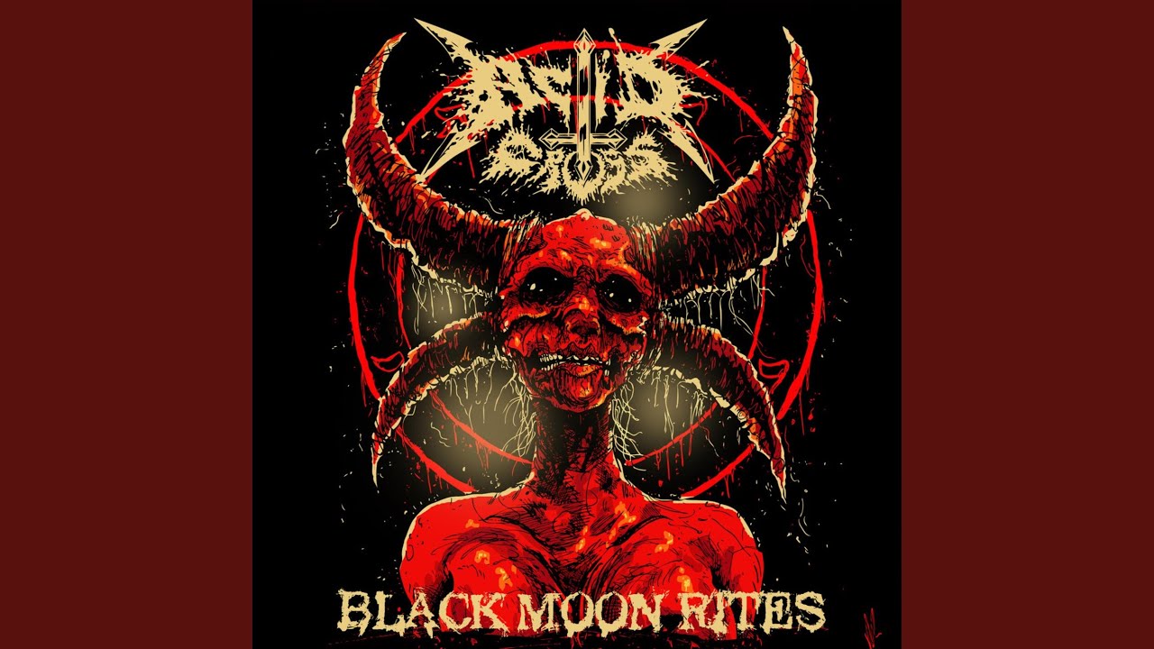 Heavy Metal Punks
