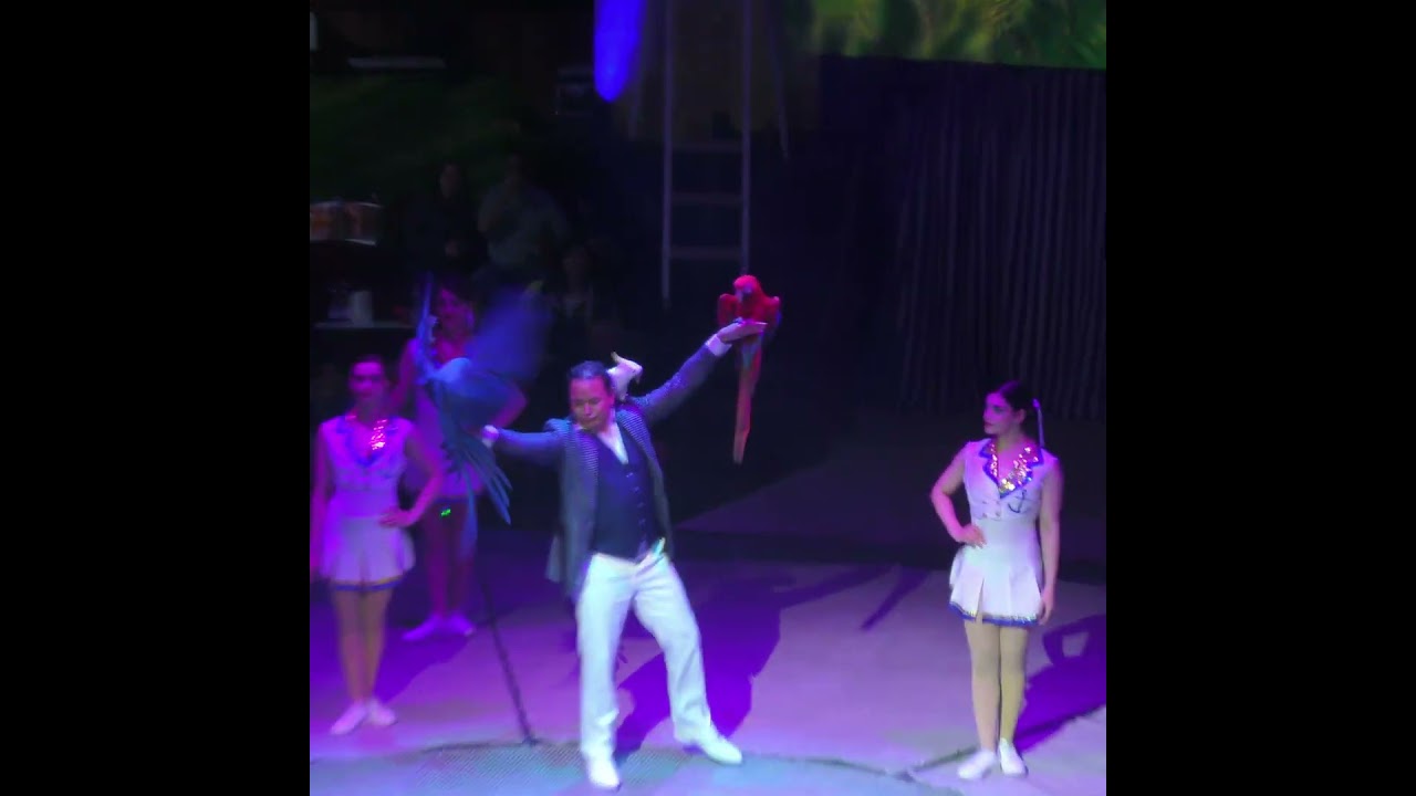 Alessio Fochesato - parrot, tucan act  - Fővárosi Nagycirkusz - Budapest 2025 - Splash