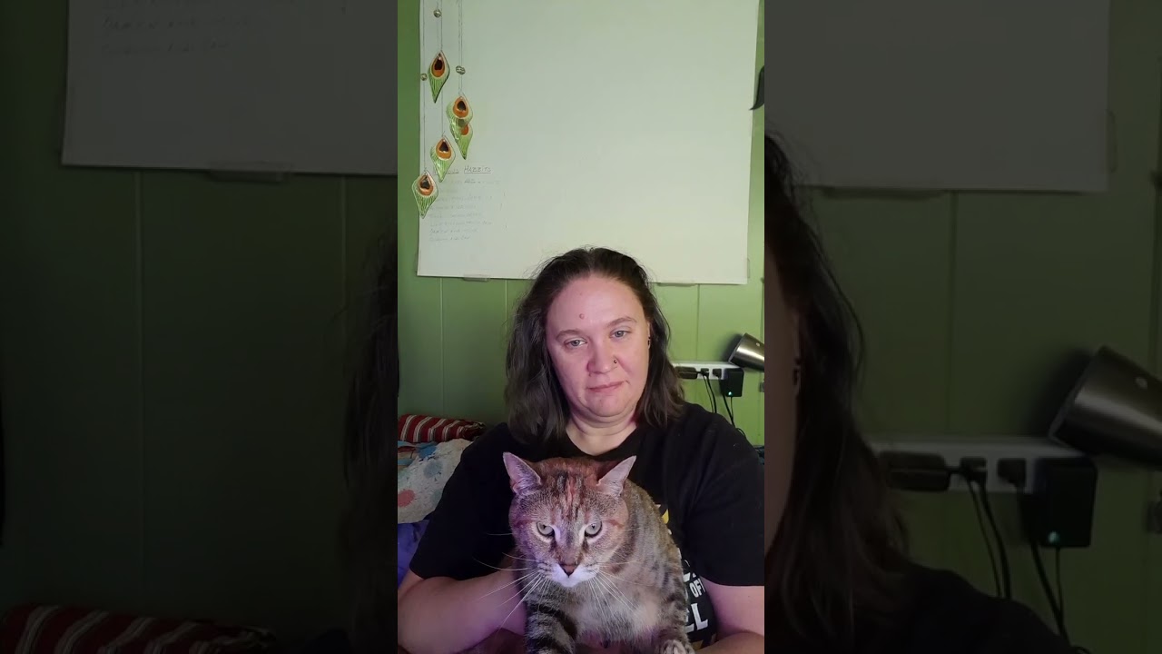 Writer Corner