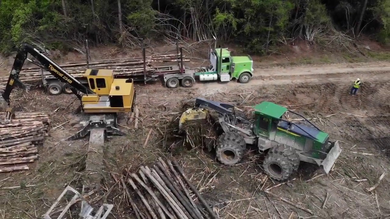 Cool video of Thomas Johnson Logging