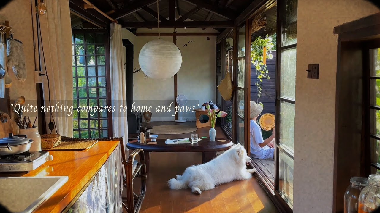 Quite nothing compares to home and paws.../a relaxing music playlist/