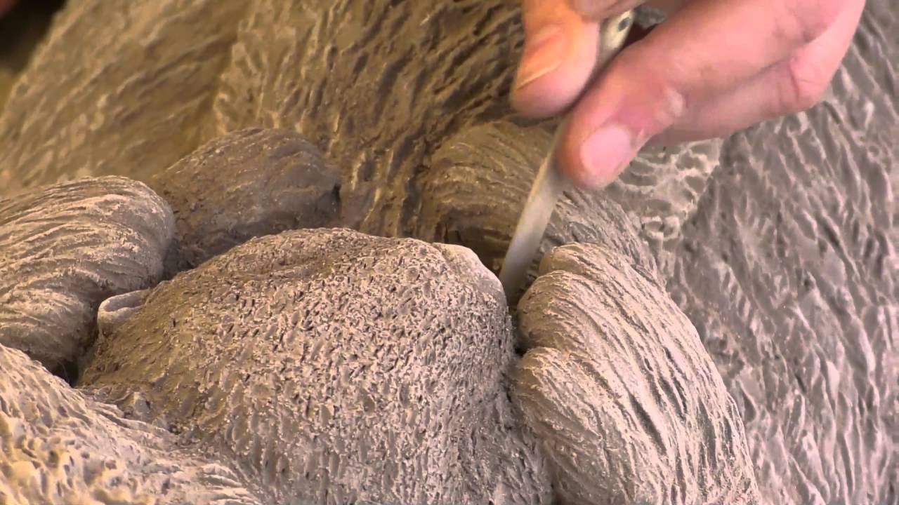 Oppède le Vieux: Olivia Trégaut sculptrice animalière
