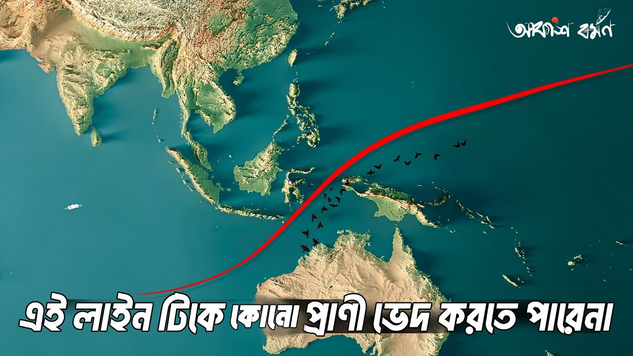 কেন এই লাইনটিকে কোন প্রাণী, পাখি এবং মাছ পাঁড় করতে পারে না? The Wallace Line Truth Revealed