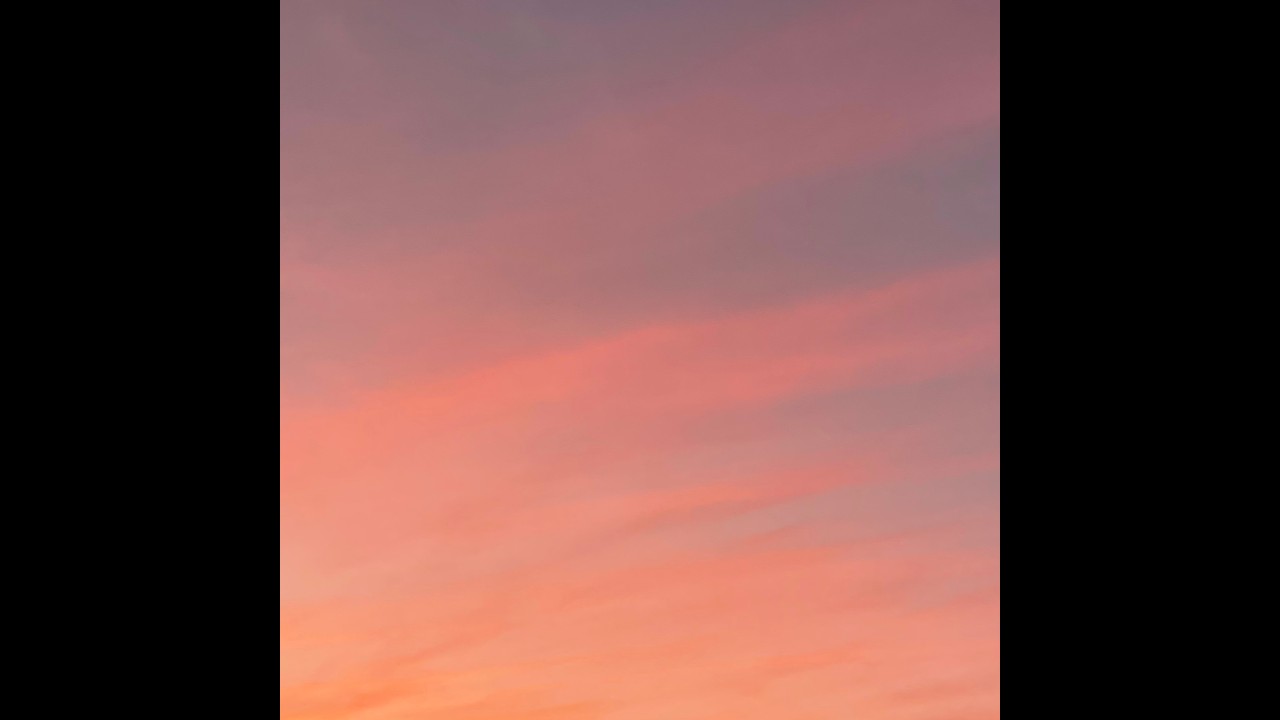 2602