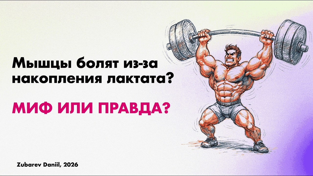 Биохимия. Цикл Кори. Почему после тренировок болят мышцы? Алкоголь приводит к увеличению лактата?