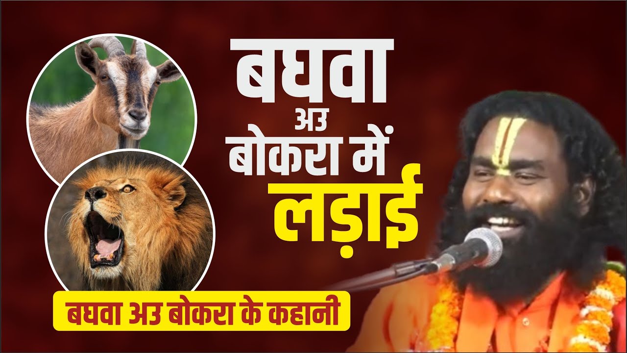 बघवा अउ बोकरा के कहानी ! बघवा अउ बोकरा में लड़ाई ! कामता प्रसाद संकीर्तन ! Kamta Prasad Ramayan