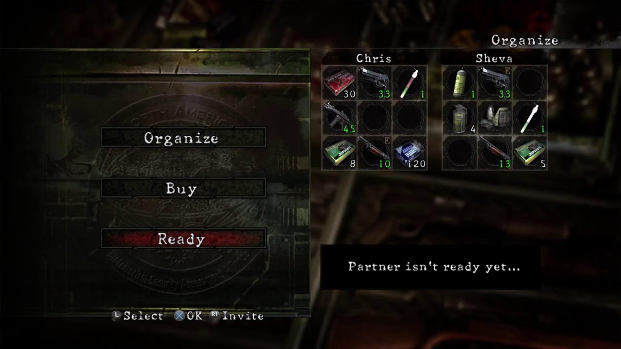 Resident Evil 5 co-op