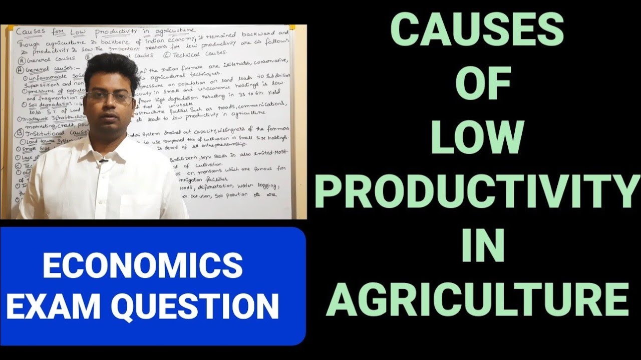 CAUSES OF LOW PRODUCTIVITY IN AGRICULTURE|ECONOMICS IMPORTANT QUESTIONS|#economics
