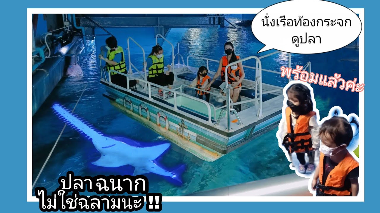 นั่งเรือท้องกระจกดูปลาในกรุงเทพ เด็กเล็กนั่งฟรี ดูปลาอย่างใกล้ชิด ฉลาม กระเบน| sea life bangkok