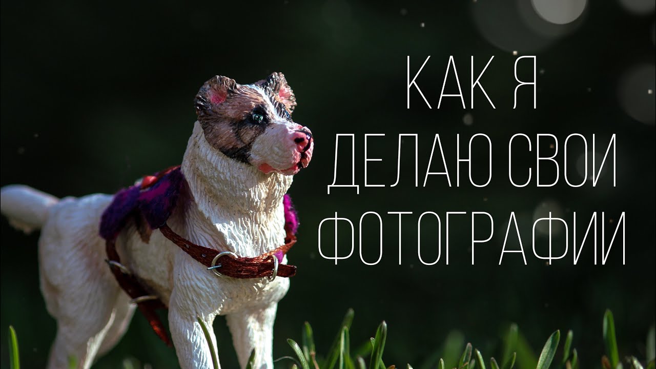 Как я делаю свои фотографии шляйх