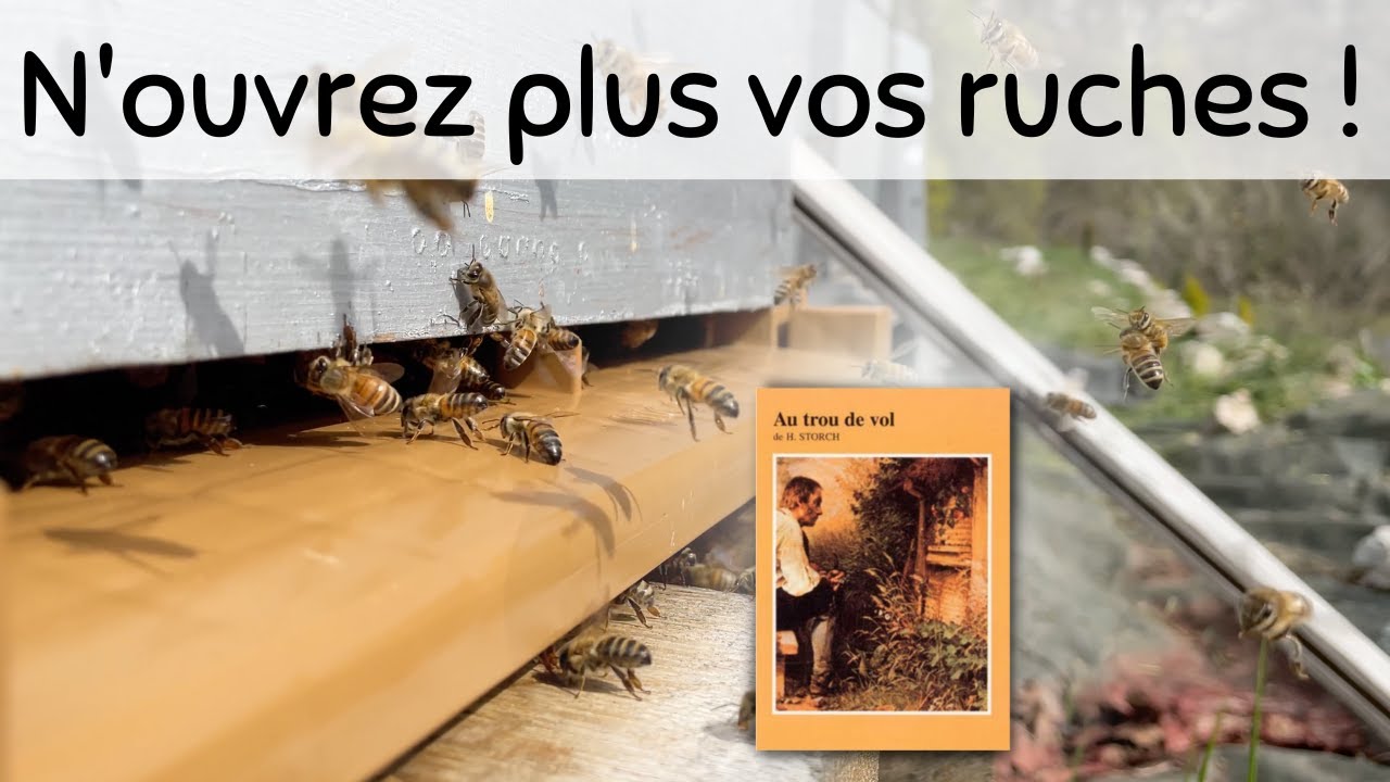 🐝 Observer les abeilles - Livre: Au trou de vol